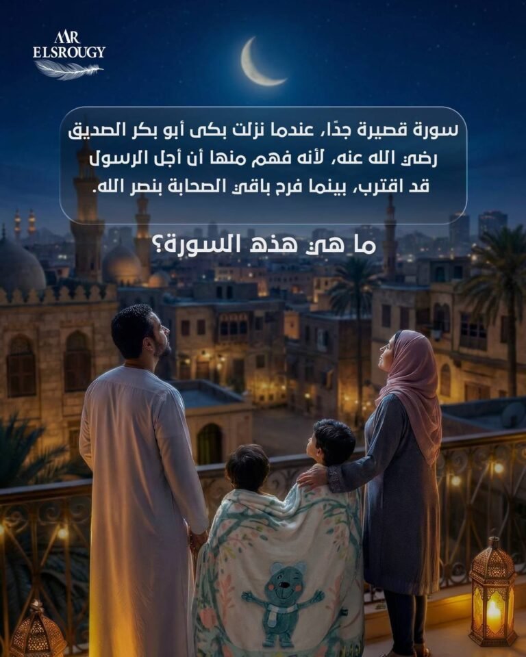 Instagram post from mr.elsrougy2024. This post is in position 8.